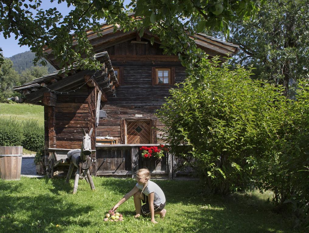 Straganzhof Villa Iselsberg Luaran gambar