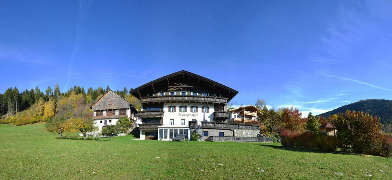 Straganzhof Villa Iselsberg Luaran gambar